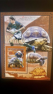 Bloco de Selos Estrangeiros - Republique de Guinee - Les Tortues - Mint - ref.612