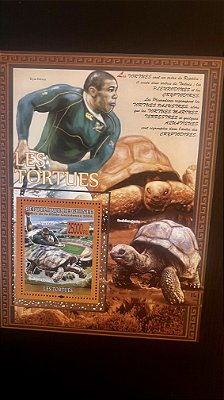 Bloco de Selos Estrangeiros - Republique de Guinee - Les Tortues - Mint - ref.663