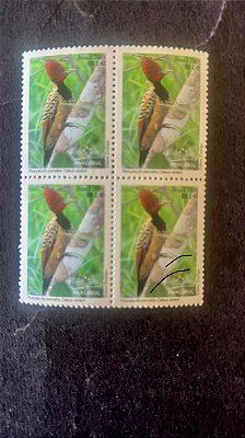 Quadra de Selos do Brasil - Picapau do Parnaiba - Brasil 2008 - Mint - ref.757