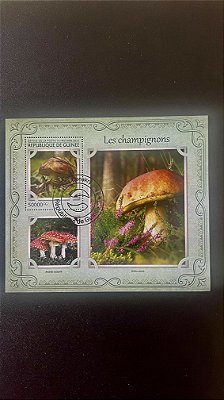 Bloco de Selos da Republique de Guinee - Les Champignons - 2017 - ref.790