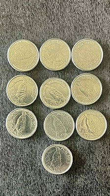 10 Moedas de Aço Inoxidável do Brasil - 100 Cruzeiros - 1992 - Mbc - ref.858