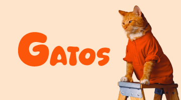 TESTE mini banner GATOS