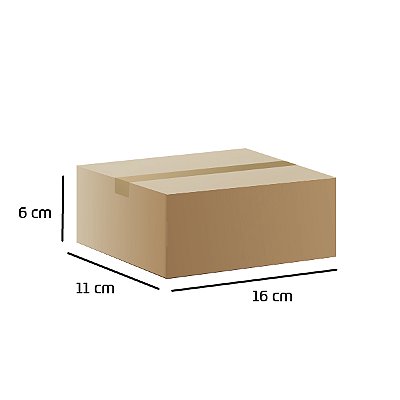 Caixa de Papelão 03 (16x11x6) Lisa