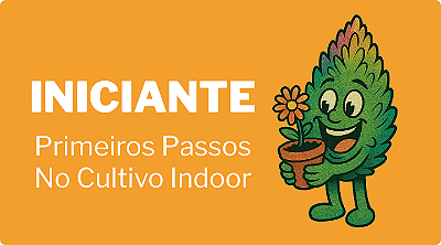 Minni Banner Iniciante