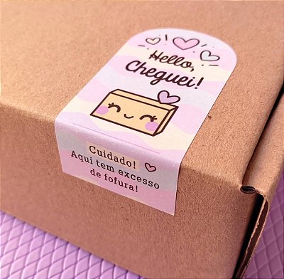 50 Lacres para Embalagem