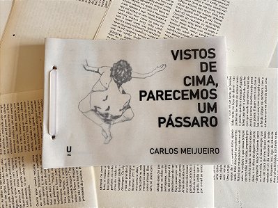 Vistos de cima, parecemos um pássaro - Carlos Meijueiro