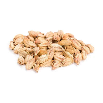 Fava Chama Dinheiro - Unidade
