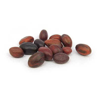 Fava de Ogum - Unidade