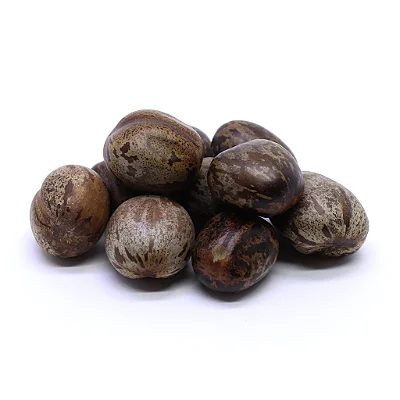 Fava de Omulu - Unidade