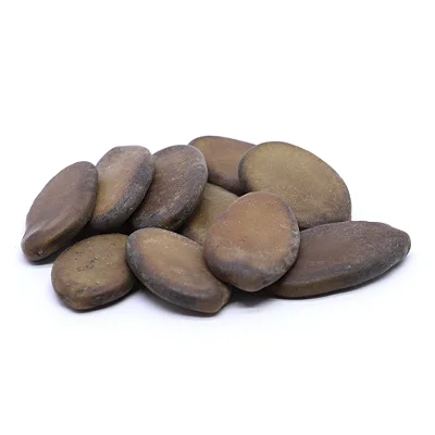 Fava Divina - Unidade