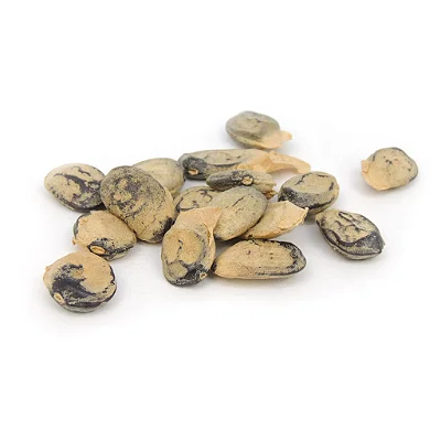 Fava Imburana - Unidade