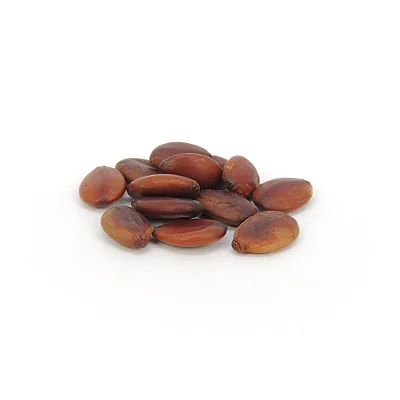 Fava da Sorte - Unidade