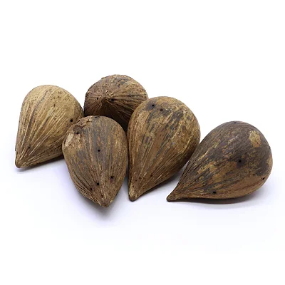 Fava Ifá - Unidade