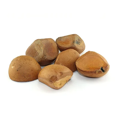 Fava de Oxum - Unidade
