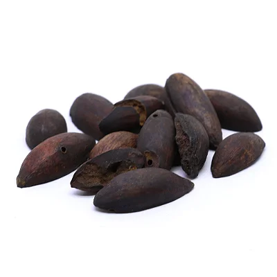 Fava Pixurim - Unidade