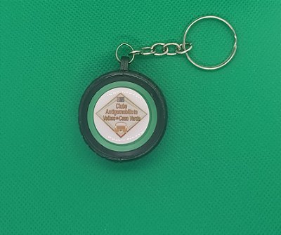 Chaveiro Velhos da Casa Verde 2025 Verde