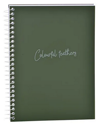 Caderno Colegial Colorful Feathers