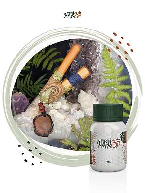 Kit II - Menta Extra Forte + Kuripe da Floresta - Medicina da Floresta