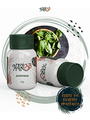 Alfavaca - Rapé Indígena - Medicina da Floresta