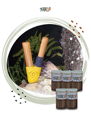 IxOm + Kuripe - Kit Experiência HariOm I - Medicina da Floresta