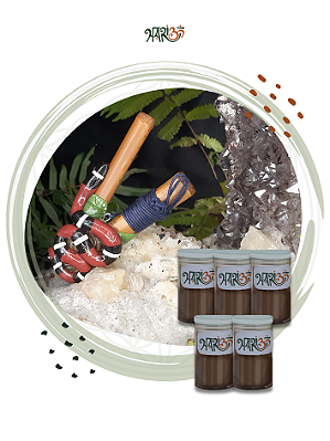 IxOm + Kuripe - Kit Experiência HariOm III - Medicina da Floresta