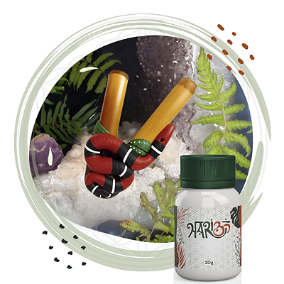 Kit Kuripe Cobra Coral + Rapé Indígena - Medicina da Floresta