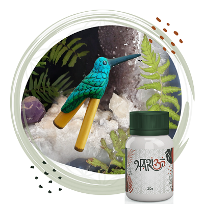 Kit Kuripe Beija-Flor + Rapé Indígena - Medicina da Floresta