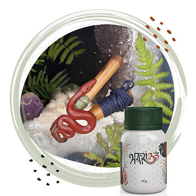 Kit Kuripe Serpente + Rapé Indígena