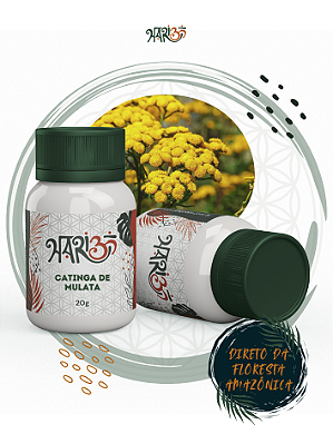 Catinga de Mulata - Rapé Indígena - Medicina da Floresta