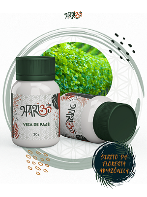 Veia de Pajé (Jibóia) - Rapé Indígena