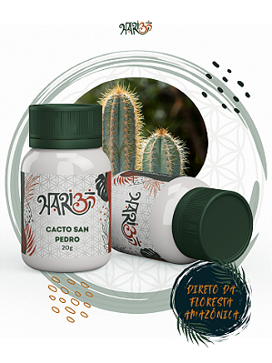 Cacto San Pedro - Rapé Indígena - Medicina da Floresta