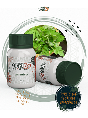 Artemísia - Rapé Indígena - Medicina da Floresta