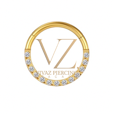 Piercing Argola Titânio Pvd Frontal Cravejado