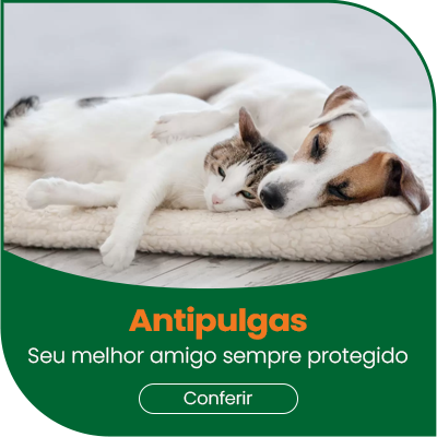 MINI BANNER ANTIPULGAS