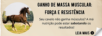 Mini Banner Massa Muscular