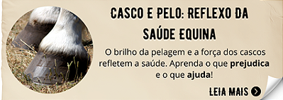 Mini Banner Pelo e Casco