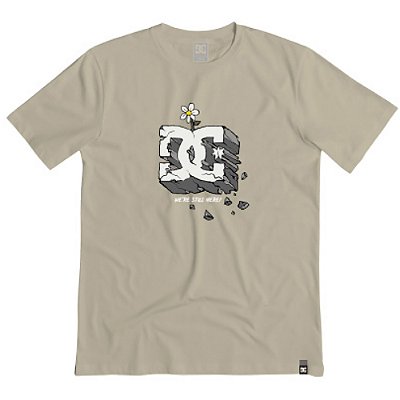 Camiseta DC Shoes Still Here WT23 Masculina Bege