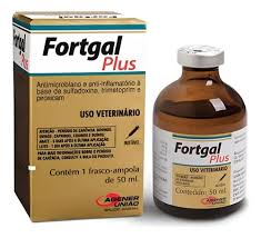 Fortgal Plus Inj 15x50ml