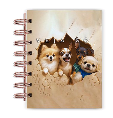 Planner 2026 Veja só Quarteto marrom