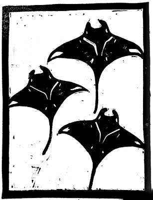 Arraia Manta A4 - Linogravura