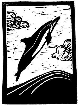 Golfinho Rotador Linogravura A4