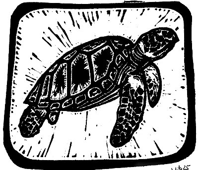 Tartaruga de Pente Linogravura A4