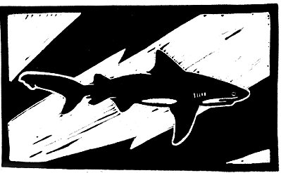 Tubarão Cabeça Chata Linogravura A4
