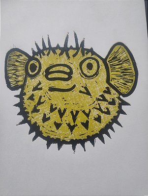 Gravura Colorida Peixe Baiacu A4