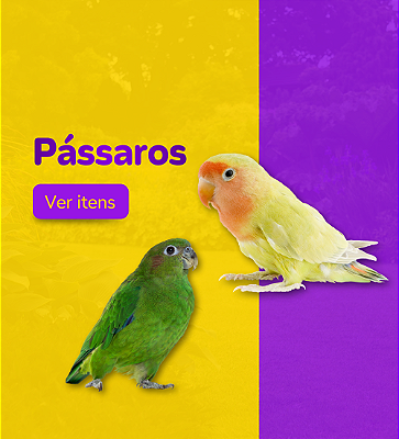 Mini Banner Passaros