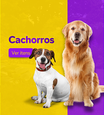 Mini Banner Cachorros