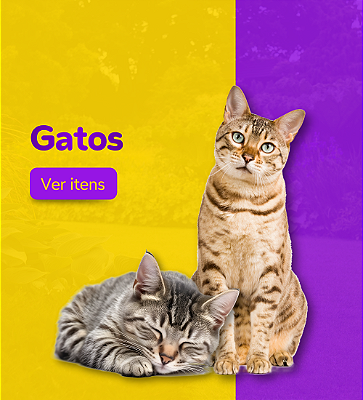 Mini Banner Gatos