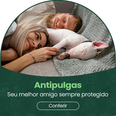 Antipulgas