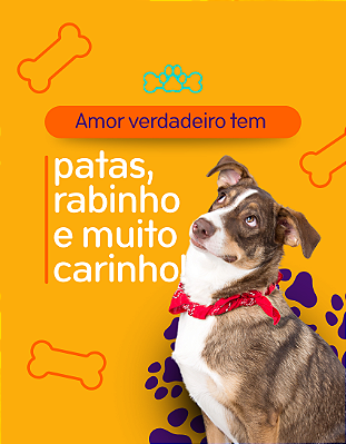 BANNER PET A PORTA