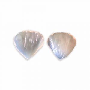 Molde Miolo Flor Papoula - 102M - Flexarte
